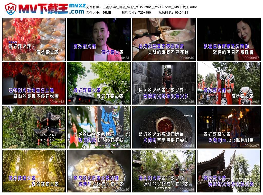 王浚宇-辣_国语_流行_MB503961